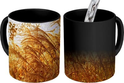 Magische Mok - Foto op Warmte Mokken - Koffiemok - Pampasgras - Zon - Gras - Magic Mok - Beker - 350 ML - Theemok