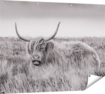 Gards Tuinposter Schotse Hooglander Koe - Zwart Wit - 120x90 cm - Tuindoek - Tuindecoratie - Wanddecoratie buiten - Tuinschilderij