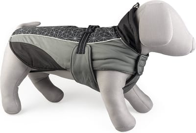 Duvoplus - Dierenkleding - Hond - Hondenjas Hi Vis Casual Xs - 30cm Zwart/grijs - 1st