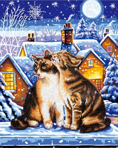 Stars and Whiskers Diamond Dotz 40x50 cm