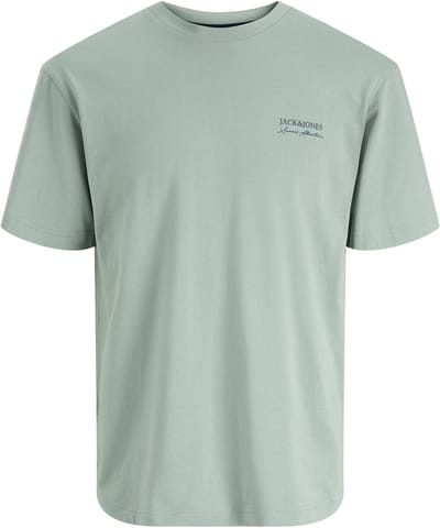 JACK&JONES - JJSUMMER VIBES TEE SS CREW NECK - Heren - T-shirts
