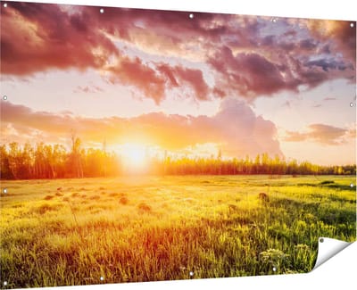 Gards Tuinposter Zonsopkomst in het Veld - 180x120 cm - Tuindoek - Tuindecoratie - Wanddecoratie buiten - Tuinschilderij