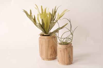 WinQ - Mooie Houten Vazen S/2-gemaakt van Acaciahout - geschikt voor kunstbloemen of droogbloemen- 10x13cm en 13x17cm