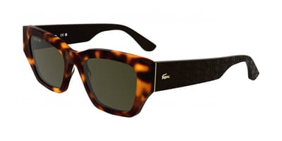 Lacoste L6053S N Havana 52/19/140 WOMAN Zonnebrillen