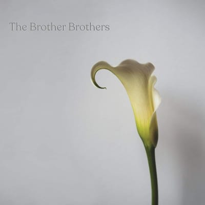 Calla Lily - Brother Brothers