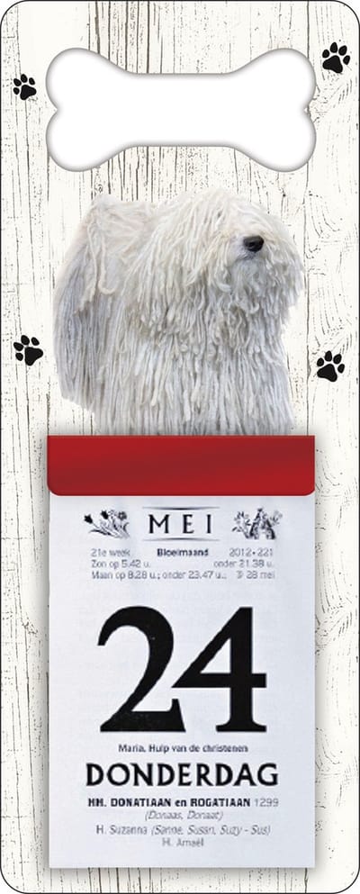 Scheurkalender 2027 Hond: Comondor