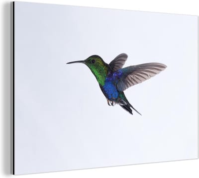 Aluminium schilderij 180x120 cm - Wanddecoratie metaal - Vogels - Kolibrie - Groen - Blauw - Metalen muurdecoratie woonkamer - Decoratie industrieel - Foto op dibond - Industriële accessoires slaapkamer