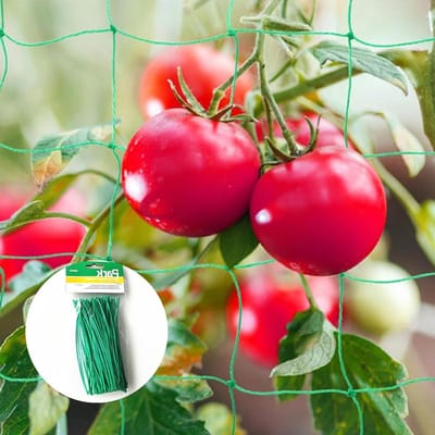 Beschermnet voor Groenten 2x3m - Klimnet voor Komkommers en Klimplanten - Vogels Afschermen en Tuinbeplanting Beveiligen met Plantbanden