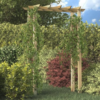 Tuinprieel Rozenboog Pergola met Hekwerk voor Klimplanten - 150 x 50 x 200 cm, Geïmpregneerd Hout