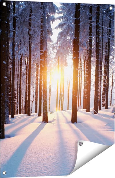 Gards Tuinposter Bos met Sneeuw tijdens de Zonsondergang - 60x80 cm - Tuindoek - Tuindecoratie - Wanddecoratie buiten - Tuinschilderij