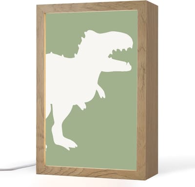 Nachtlampje 20x30 cm - Kinder lampje - Dino - T-rex - Dinosaurus - Groen - Tyrannosaurus rex - Tafellamp kinderkamer - Slaapkamer lamp - Bedlamp kinderen - Kinderlampje stopcontact - Wandlamp babykamer - Nachtlampjes