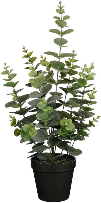 Mica Decorations Kunstplant Eucalyptus - H53 cm - groen - kunststof - bladgroen - in pot - 23 cm breed