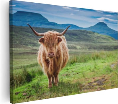Artaza Canvas Schilderij Hooglander - 30x20 cm - Klein - Wanddecoratie Dieren - Muurdecoratie Woonkamer - Kamer Accessoires
