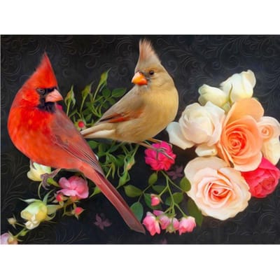 Peinture diamant oiseau 5d, broderie diamant, image en strass, décoration d'intérieur, cadeau, vente 20X30CM black