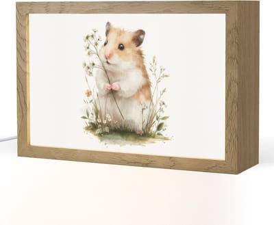 Nachtlampje 30x20 cm - Kinder lampje - Hamster - Bloemen - Tafellamp kinderkamer - Slaapkamer lamp - Bedlamp kinderen - Kinderlampje stopcontact - Wandlamp babykamer - Nachtlampjes