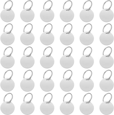 30 Stuks RVS Lege Labels voor Graveren, Ideaal voor Hanger, Kettingen en Armbanden, Identificatieplaten en Stempelen