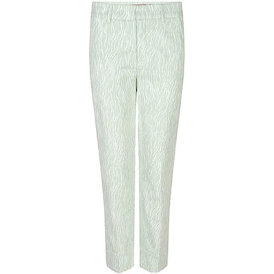 Esqualo broek SP24-17001 - Pistache