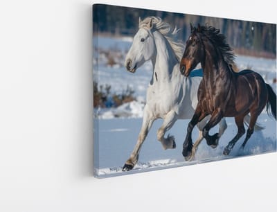 Saammp Canvas Schilderij - Paard - Dieren - Natuur - 30x20 - Foto op canvas - Wanddecoratie - muurdecoratie Woonkamer - Slaapkamer decoratie - Canvas Print