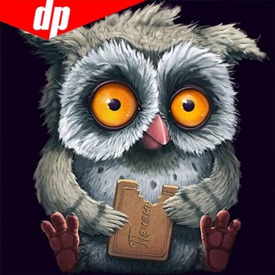 Ronde strass diamant borduurwerk uil 5d diy diamant schilderij handwerk kruissteek 30x30 gray