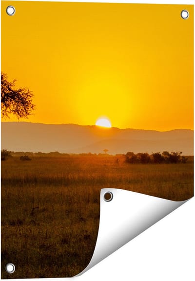 Gards Tuinposter Zonsopgang in de Savanne met een Boom - 40x50 cm - Tuindoek - Tuindecoratie - Wanddecoratie buiten - Tuinschilderij