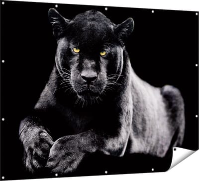 Gards Tuinposter Zwarte Panter - 160x120 cm - Tuindoek - Tuindecoratie - Wanddecoratie buiten - Tuinschilderij