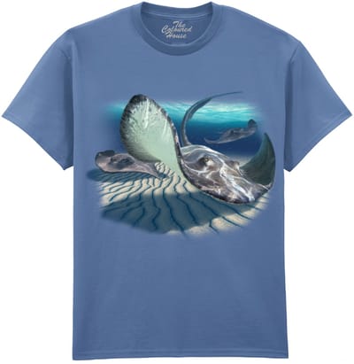 Pijlstaart Rog Stingrays The Coloured House T-shirt XL