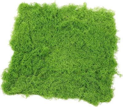 Kunstmos Veld - Decoratie Gras - Micro Landschap - Realistisch Detail - 50x50 cm - Lichtgroen