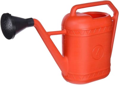 Grote kunststof gieter 4 liter voor tuin en planten