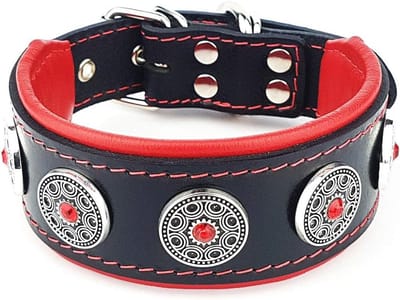 Handgemaakte leren hondenkraag met studs - 2 inch breed, zacht gevoerd