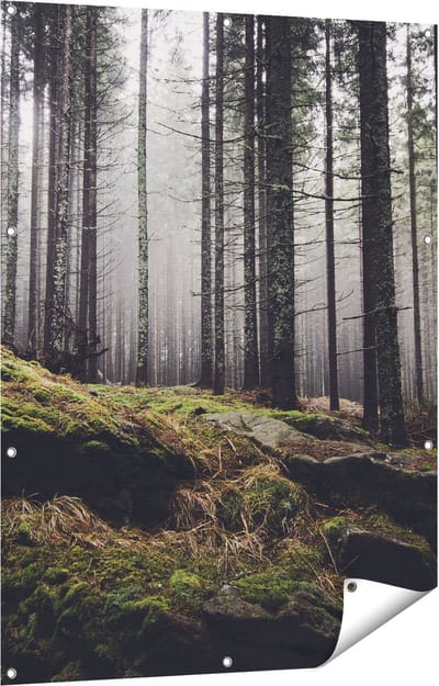 Gards Tuinposter Bos met Mos op Rotsen - 90x120 cm - Tuindoek - Tuindecoratie - Wanddecoratie buiten - Tuinschilderij