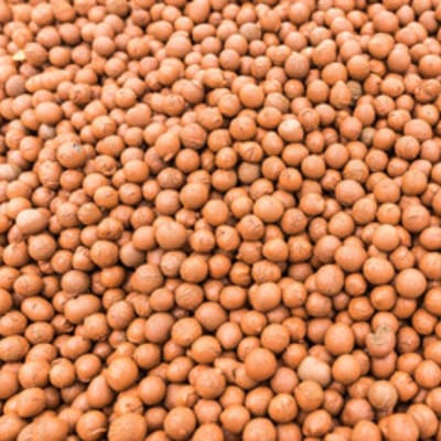 Klei Kiezels - Hydrocultuur Substraat - Planten Groei - Bevordert Wortelgroei - 4L - Bruin