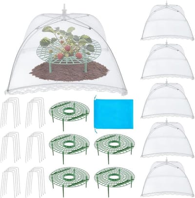 Dailygoods- Aardbei Plantensteun - Ronde Ondersteuning 15x9cm - 6 Sets - Inclusief Gaas Hoezen - IJzeren Nagels - Ergonomisch Ontwerp