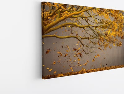 Saammp Canvas Schilderij - Hefst boom - Bladeren - Landschap - Natuur - 45x30 - Foto op canvas - Wanddecoratie - Muurdecoratie Woonkamer - Slaapkamer decoratie - Canvas Print