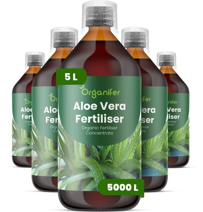 Vloeibare Meststof Voor Aloë Vera 5X1 L Voor 5000 L - Npk 2-1-8 - Voor Sterke Bladgroei - Bladstevigheid - Gelrijk Bladweefsel - Hittebestendig -Ddroogtebestendig - Waterregulatie - Wortelontwikkeling - Vetplanten - Organifer