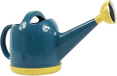 Stevige gieter - Planten water geven - Kamerplanten verzorgen - Vergrote vulopening - 4 liter capaciteit - Groen
