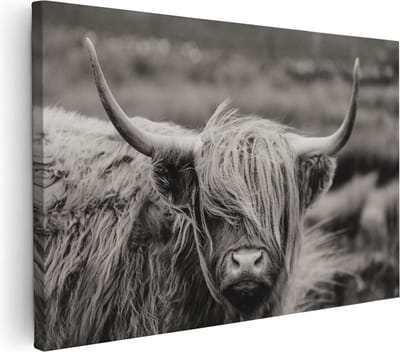 Artaza Canvas Schilderij Hooglander - 30x20 cm - Klein - Wanddecoratie Dierenkop - Muurdecoratie Woonkamer - Kamer Accessoires
