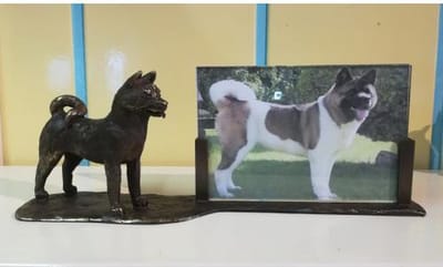 Amerikaanse Akita groot fotolijst verbronsd