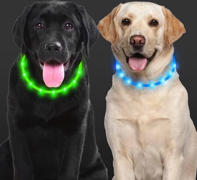 Oplaadbare LED-hondenhalsband met verstelbare lengte en waterdicht ontwerp - 2 stuks, veilig voor honden en katten
