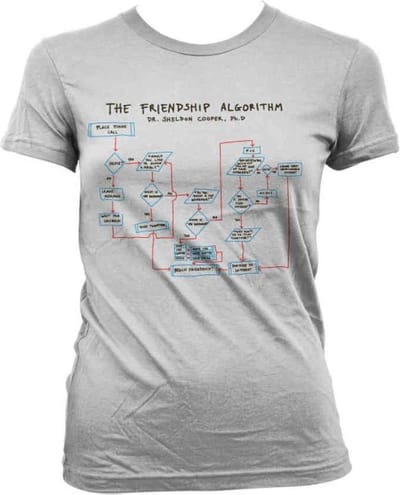 The Big Bang Theory Dames Tshirt -S- Dr. Sheldon Cooper's Friendship Algorithm Wit