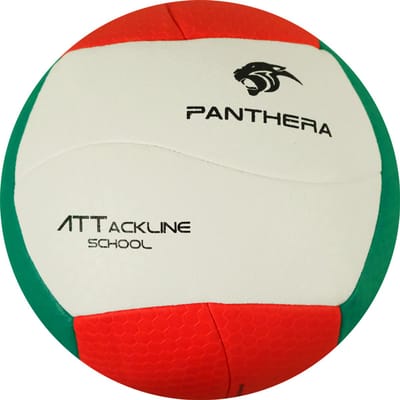 Panthera - Volleybal - Attackline school - BV500 - Volleyballen