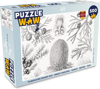Puzzel Coniferen - Ernst Haeckel - Kunst - Retro - Illustratie - Natuur - Legpuzzel - Puzzel 500 stukjes