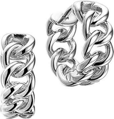 Huiscollectie klapoorring Gourmet 16,5 X 6,5 Mm Zilver Gerhodineerd Glanzend