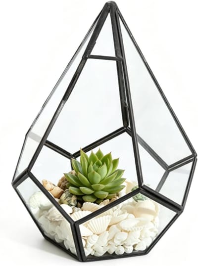 Geometrisch Terrarium, Glazen Terraria Voor Planten Air Plants Houders Flower Plant Terrarium Small Terrarium Glass Wall Vase Flowerpot Glass Plant Planter Succulent Plants Container