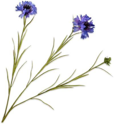 Silk-ka Kunstbloem-Zijden Bloem Korenbloem Tak Blauw-Licht Blauw 65 cm Per 2 Stuks