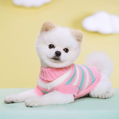 Puppy Brei Trui voor Kleine Middelgrote Honden Kleding Pullover Hond Kat Jas Chihuahua Yorkies Jas Franse Bulldog Huisdier Kostuums S white