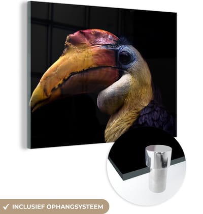 MuchoWow® Glasschilderij 160x120 cm - Schilderij acrylglas - Vogel - Snavel - Zwart - Foto op glas - Schilderijen