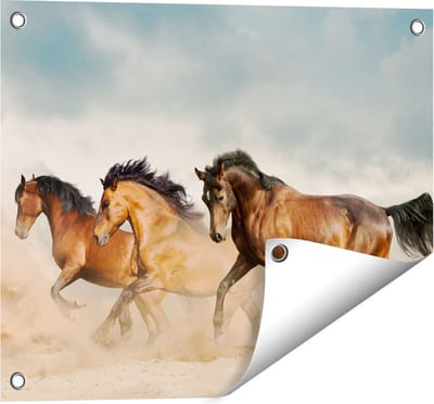 Gards Tuinposter Drie Bruine Paarden - 50x40 cm - Tuindoek - Tuindecoratie - Wanddecoratie buiten - Tuinschilderij
