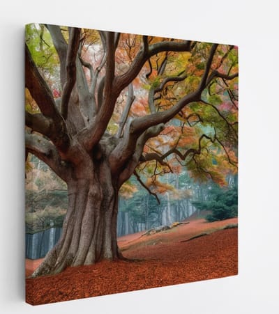 Saammp Canvas Schilderij - Bos tijdens de herfst - Landschap - Bloemen - Natuur - 20x20 - Foto op canvas - Wanddecoratie - Muurdecoratie Woonkamer - Slaapkamer decoratie - Canvas Print