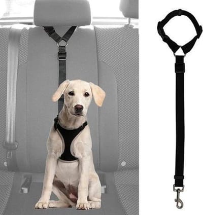 WiseGoods - Premium Hondengordel Auto - Hondenriem - Gordel Voor Hond - Autogordel - Veiligheid Voor Hond - Verstelbaar - Zwart