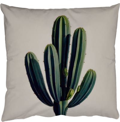 Sierkussens - Kussentjes Woonkamer - 50x50 cm - Cactus - Subtiel - Groen